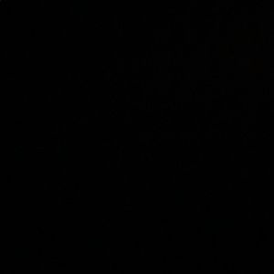 Meet your Posher, Zev